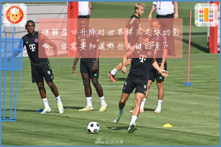 理解盘口升降对世界杯买足球的影响，你需要知道哪些关键因素？