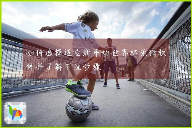 如何选择适合新手的世界杯竞猜软件并了解下注步骤