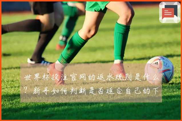 世界杯投注官网的返水规则是什么？新手如何判断是否适合自己的下注策略？
