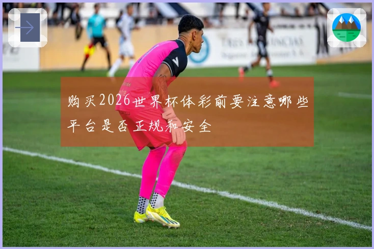 购买2026世界杯体彩前要注意哪些平台是否正规和安全