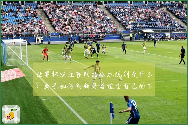 世界杯投注官网的返水规则是什么？新手如何判断是否适合自己的下注策略？