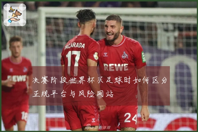 决赛阶段世界杯买足球时如何区分正规平台与风险网站