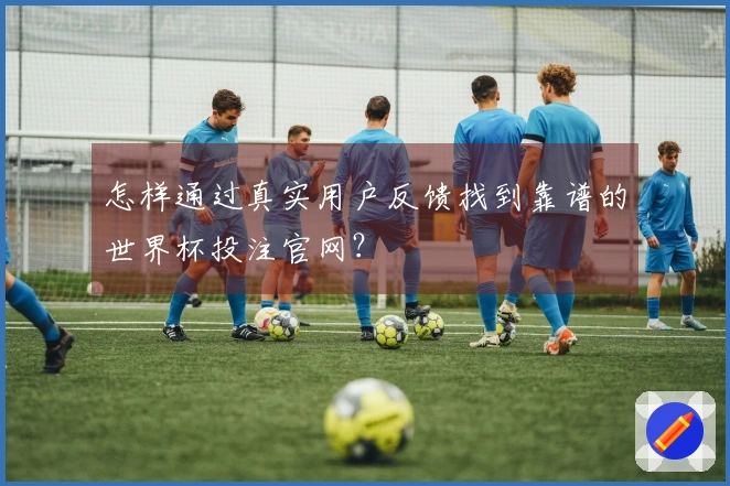 怎样通过真实用户反馈找到靠谱的世界杯投注官网？