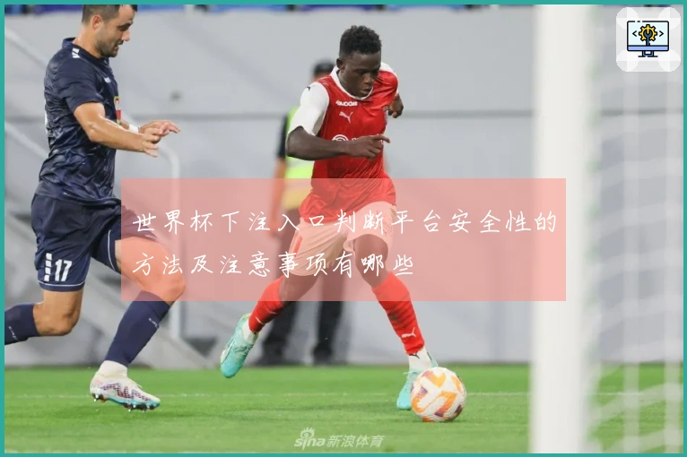 世界杯下注入口判断平台安全性的方法及注意事项有哪些