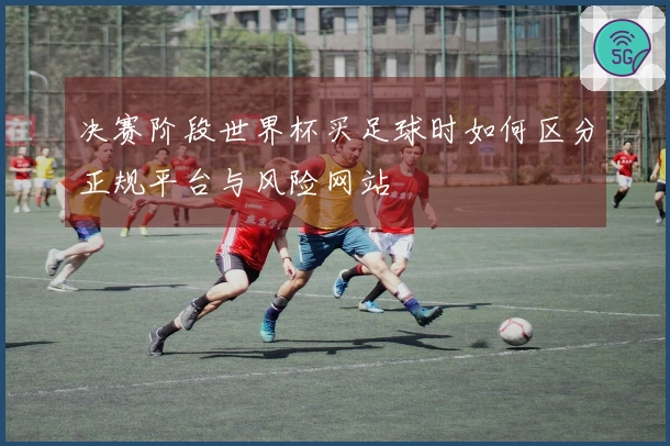 决赛阶段世界杯买足球时如何区分正规平台与风险网站